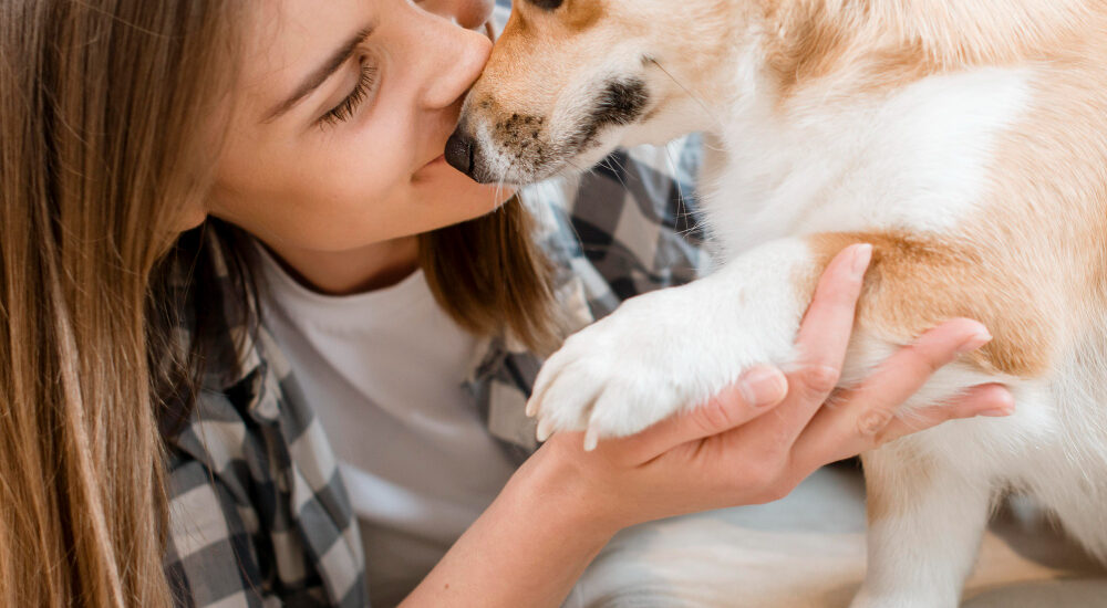 Why Does My Dog Lick My Hands? A Complete Guide