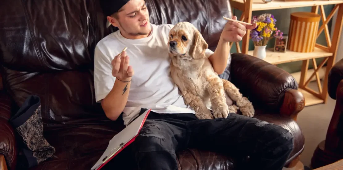 Dog sitting on its owner, displaying the behavior of 'Why Does My Dog Sit on Me' – exploring reasons like affection, comfort, and attention-seeking.