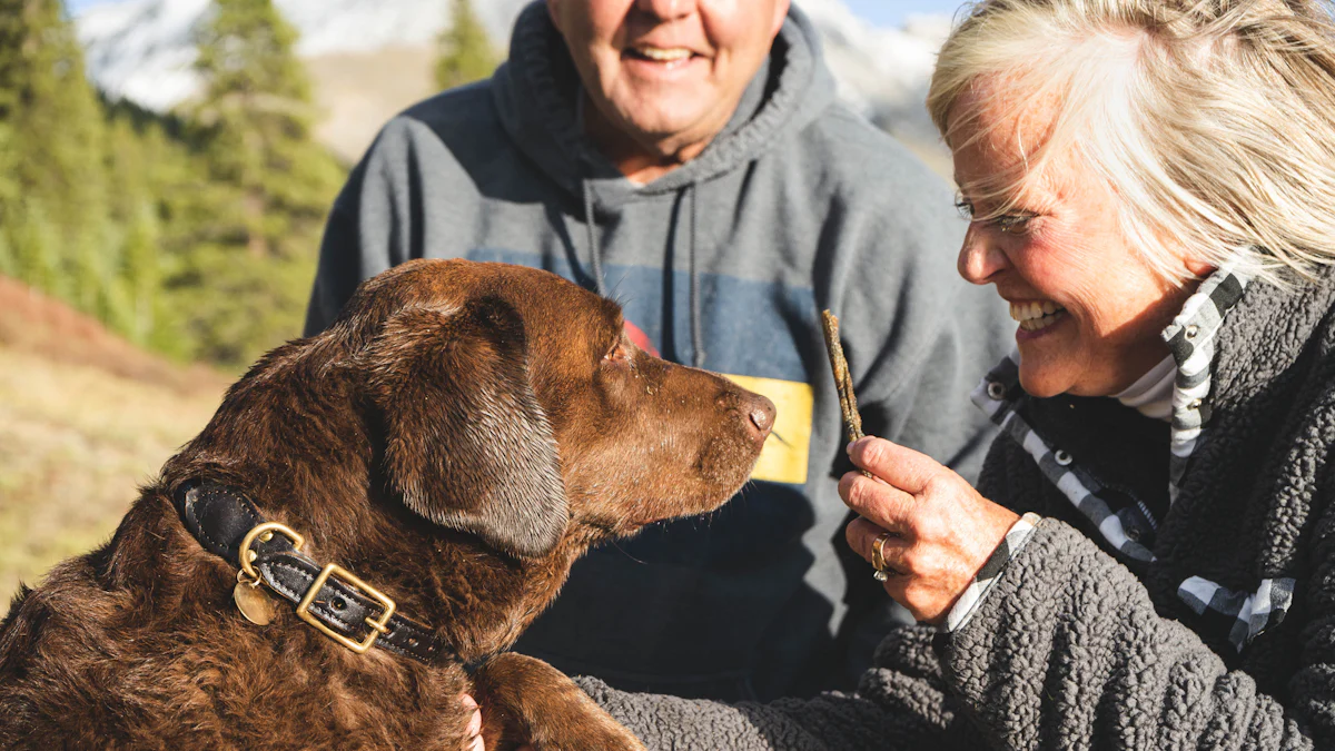 Female and male dog owners playing with their dog using a stick, showcasing a fun and active bonding moment.