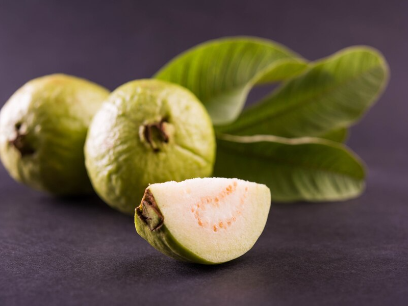 Fresh guava slices on a plate, highlighting the benefits of feeding guava to dogs in moderation