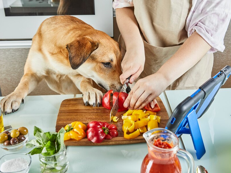 Assorted fruits like apples, blueberries, and watermelon, showcasing other fruits that are safe for dogs to enjoy