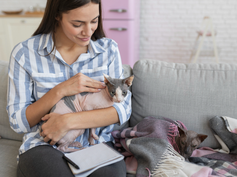 Cat cuddling with its owner, showcasing the emotional benefits of owning a cat, such as comfort and companionship.