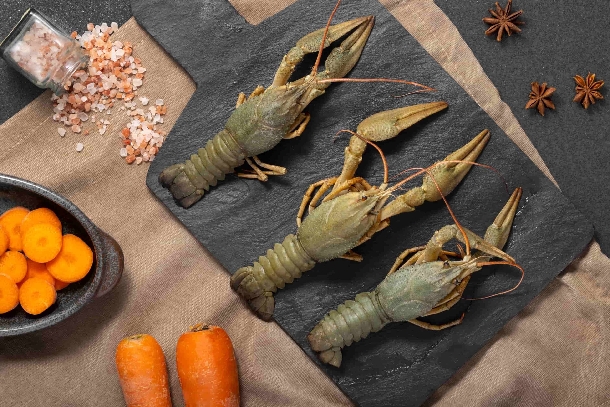 Raw shrimp with shells on a plate, explaining whether dogs can safely eat shrimp with shells and the potential risks involved.