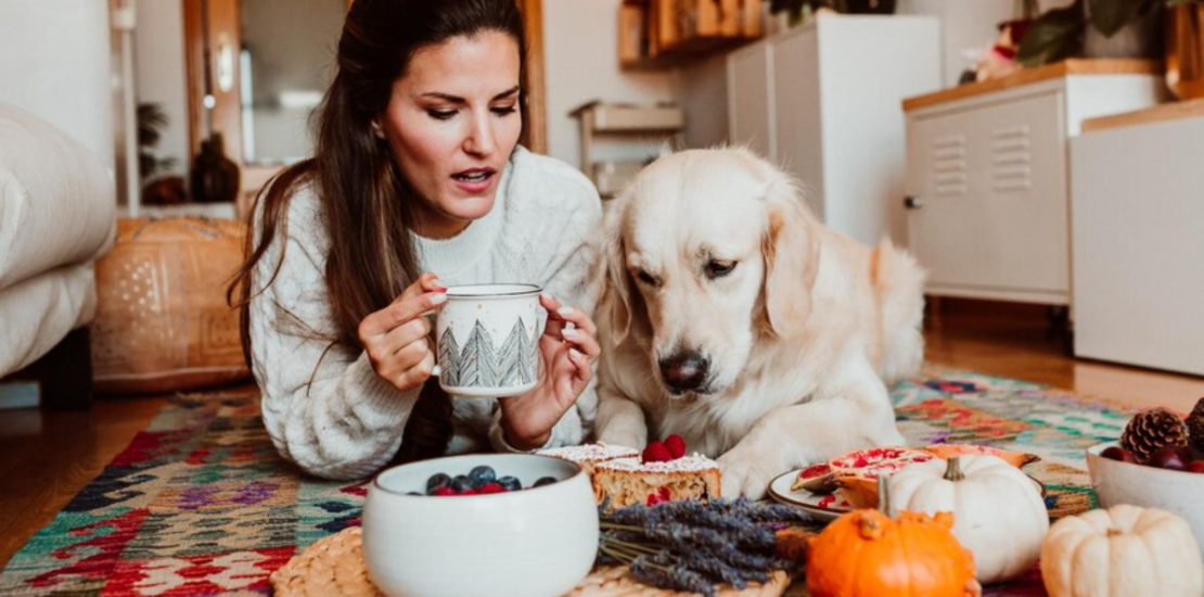 A concerned dog owner looking at their dog, How Long Can a Dog Go Without Eating