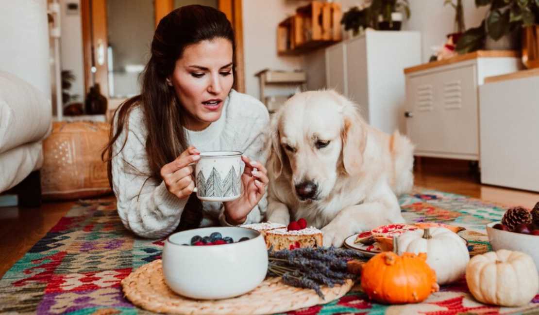 A concerned dog owner looking at their dog, How Long Can a Dog Go Without Eating