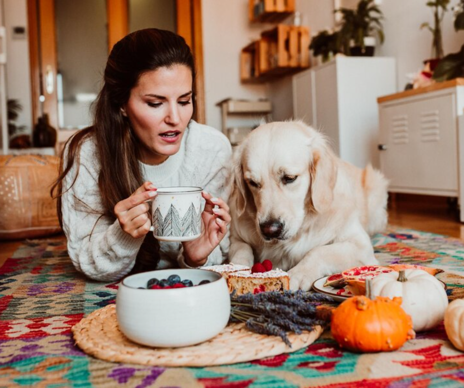 A concerned dog owner looking at their dog, How Long Can a Dog Go Without Eating