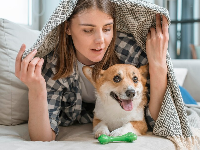 A worried dog owner with their sick dog resting on a blanket.