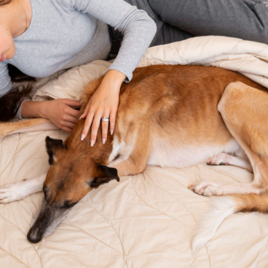 Methods for Feeding Sick Dogs A worried dog owner with their sick dog resting on a blanket.